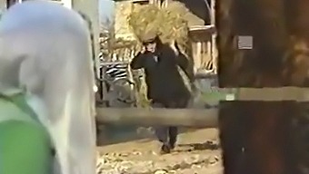 Il Bacio Appassionato E L'Incontro Sensuale Di Una Coppia Turca